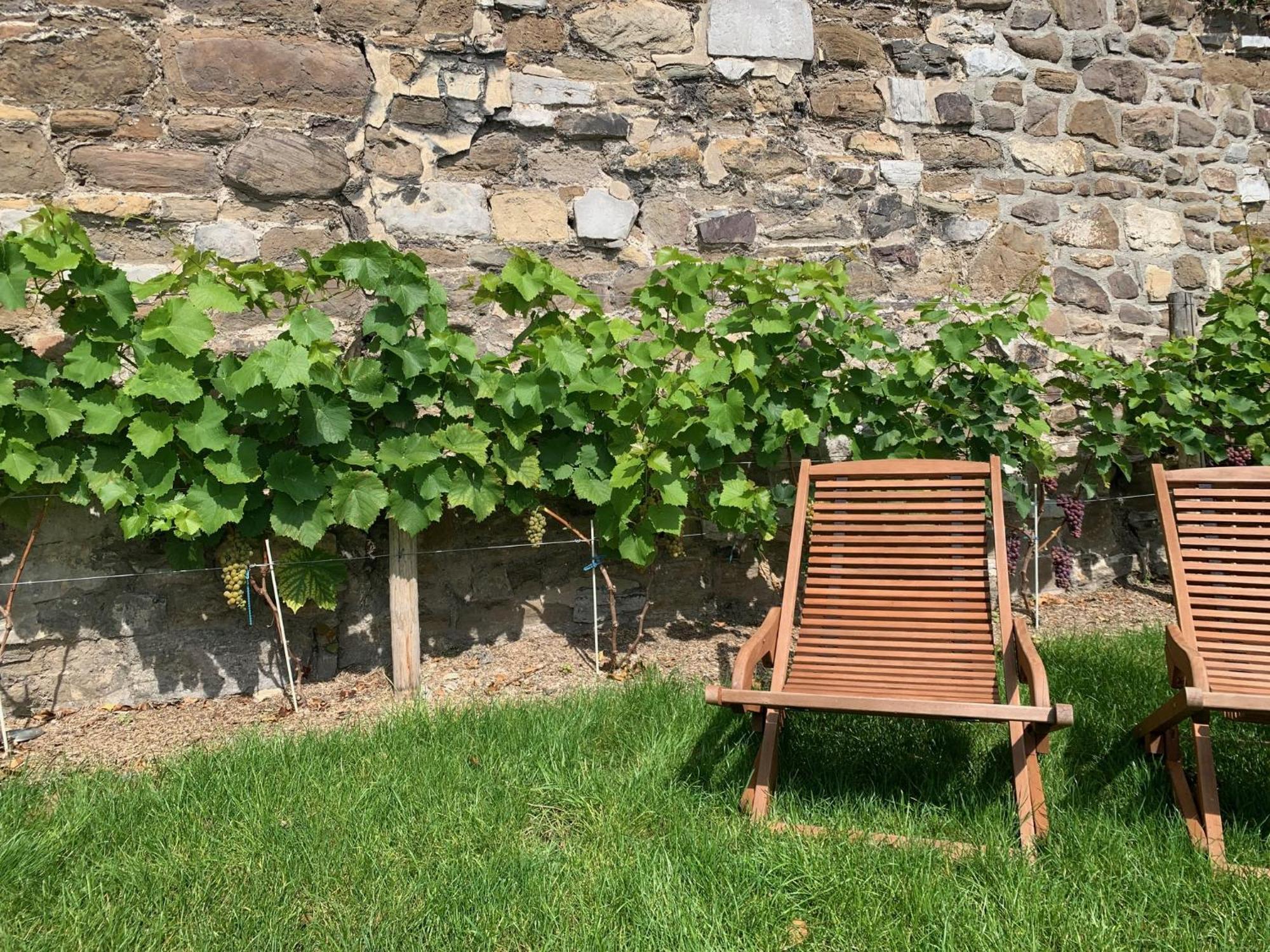 Maison d'hôtes Bonjour Pierreuse Liège