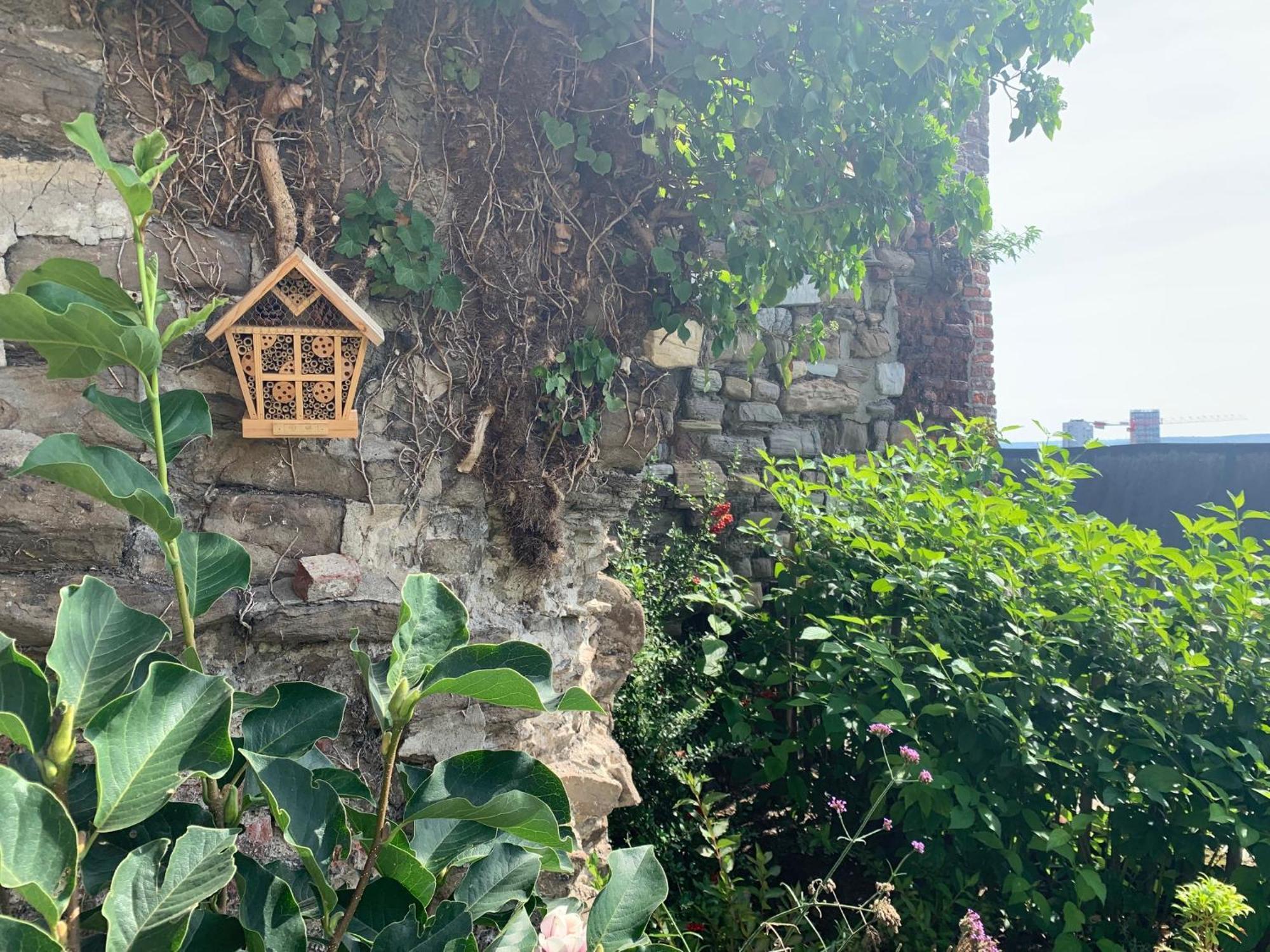 Guest house Bonjour Pierreuse Liege